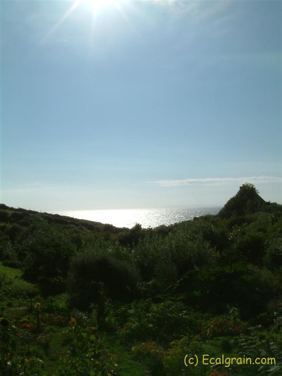 Photo du 30/07/2003 à 18:48:12